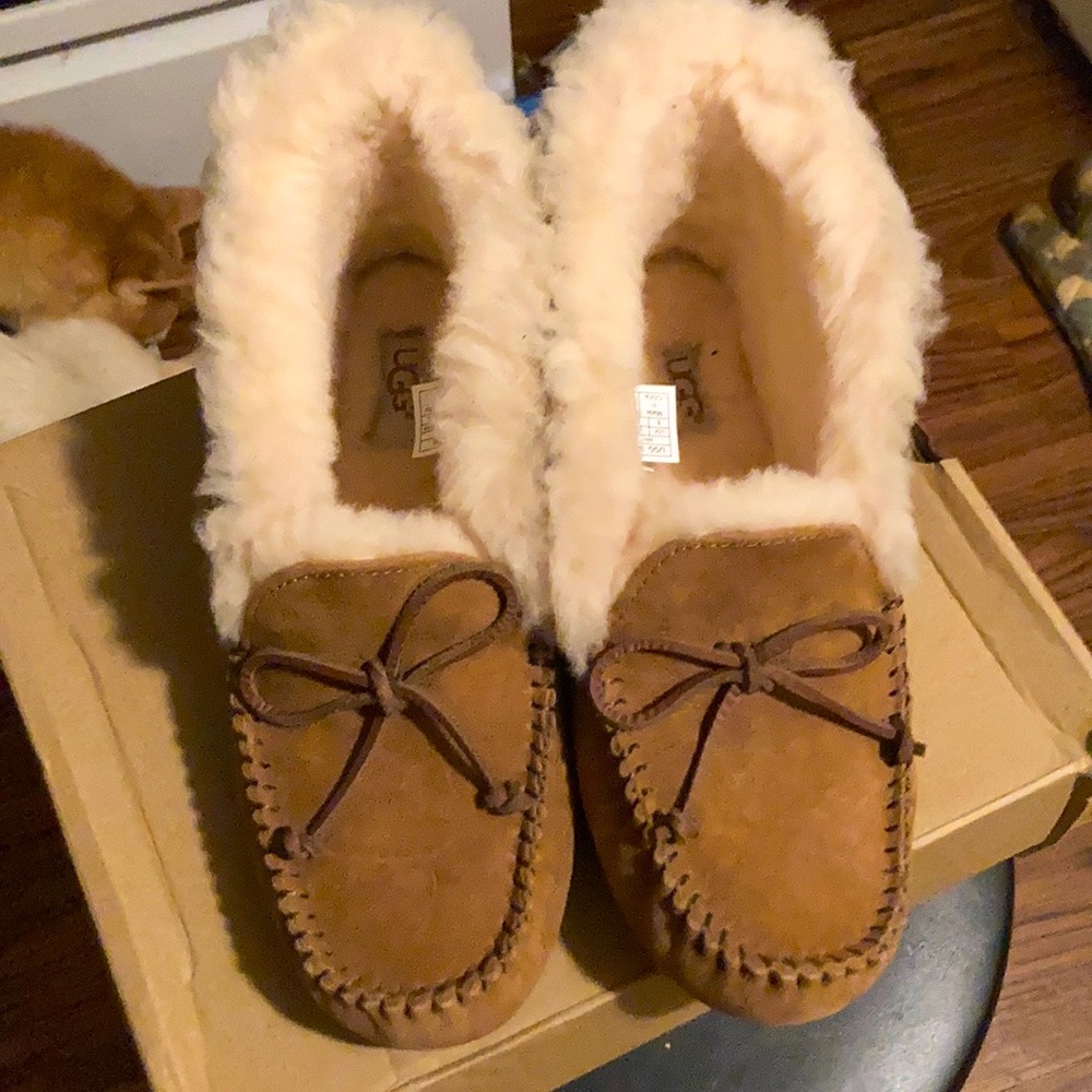 Ugg Alena